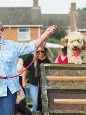 A joyous return for the Gamlingay Village show